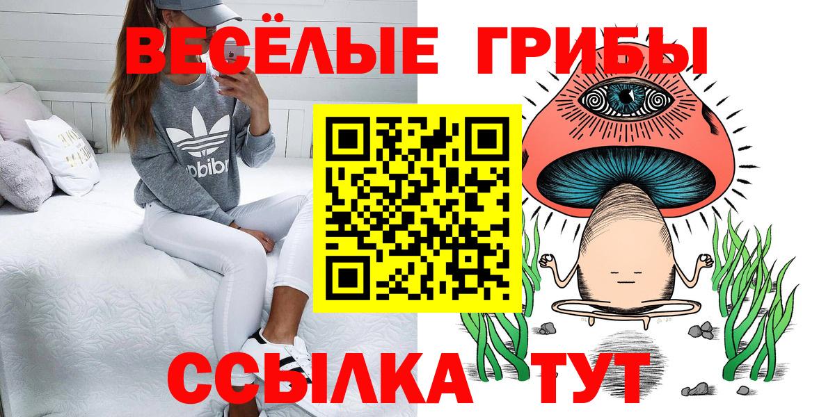 Псилоцибиновые грибы ЛСД Острогожск